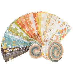 Cozy Up Jelly Roll Primary Image