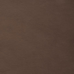 Cuddle® Extra Wide - Brown 90" Minky Yardage