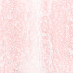 Cuddle® Luxe - Fawn Rosewater 60" Minky Yardage