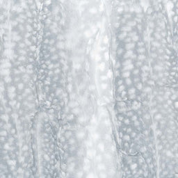 Cuddle® Luxe - Fawn Silver 60" Minky Yardage