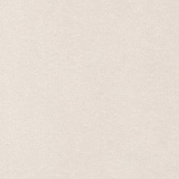 Cuddle® Solids - Beige 60" Minky Yardage