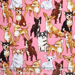 Dogs - Chihuahuas Pink Yardage