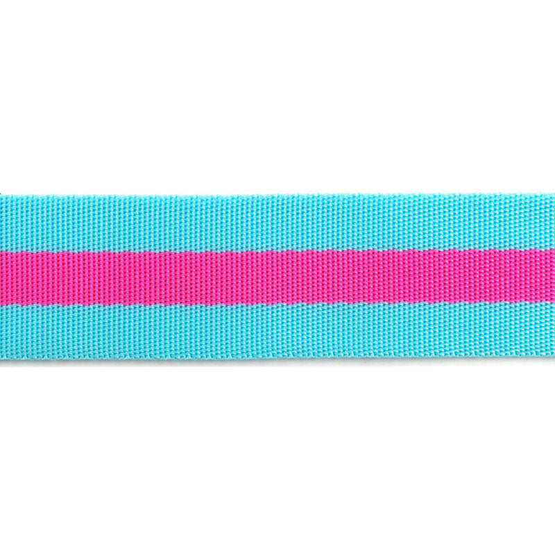 Tula Pink 1 1/2" Webbing - Blue Aqua and Hot Pink