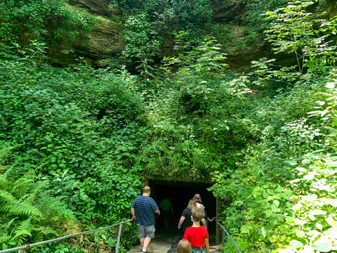 entrance into caves in bluespring caverns indiana