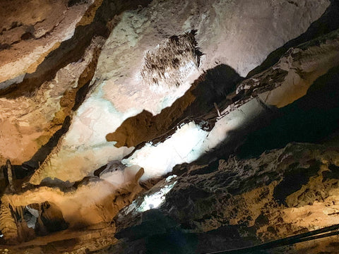 the bear shadow inside tuckaleechee caverns, tennessee