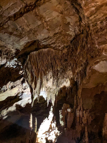 rare shield rock formation within tuckaleechee caverns, tennessee