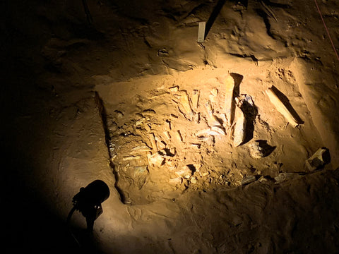 prehistoric bone dig site inside binkley cave system within indiana caverns
