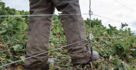 Heavy Duty Multi Wire Ring Top Post The new standard in portable electric fencing Ideal for hard, stony ground and heavy cropping - Heavy duty 7mm diameter steel shaft reduces post bending when driven into the ground Tough, unbendable foot plate - Foot plate can withstand 360kg of pressure so will not bend or deform Strong, secure insulators - Glass filled nylon insulators “snap on” to post to form a reliable connection Reduced risk of shorting - Wear resistant, patented glass filled nylon ring top head eliminates the risk of shorting on the top wire Choose your wire heights and spacing - Pre-formed notches allow multiple customized wire heights and ring top head enables single wire use Easy to pull out - Ring top head creates a convenient handle for pulling the post out of the ground Reliable ground holding - steel foot spike prevents the post from rotating once inserted into the ground