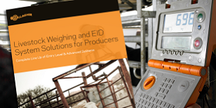 Livestock Weighing and EID System Solution Brochure