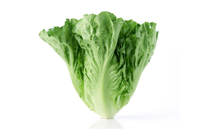 In chinese lettuce What does