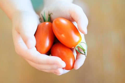 hand holding 3 Roma tomatoes