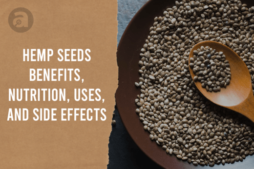 10 Health Benefits Of Hemp Seeds Horizontal Infographic Stock Illustration  - Download Image Now - iStock