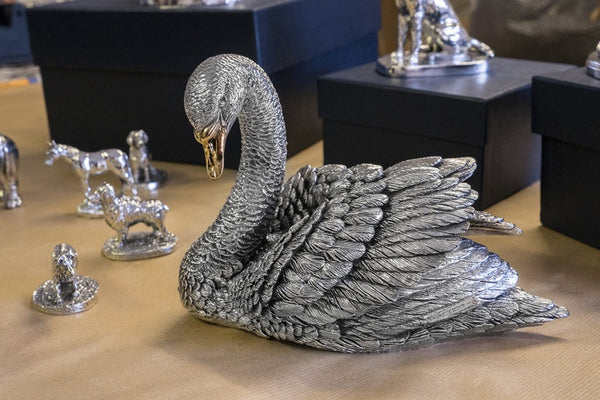 Silver Swan