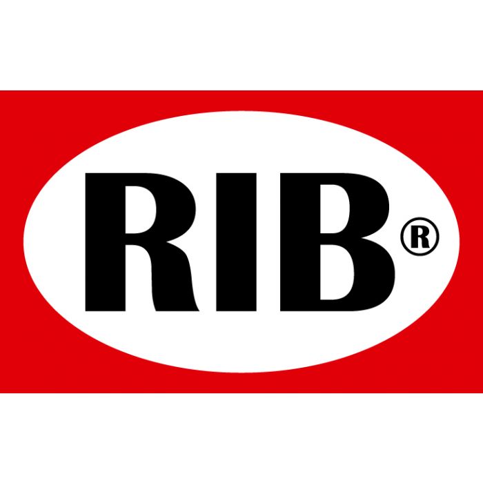 Lon RIB relay RIBTW2401B-LN