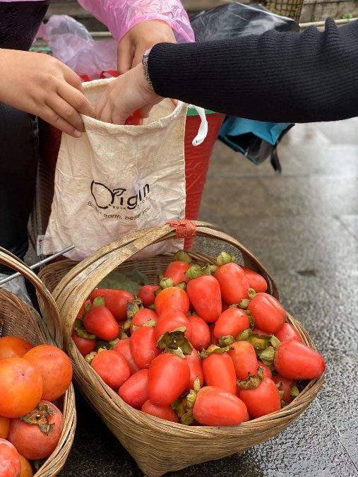 Zero waste lifestyle reusable shopping bag