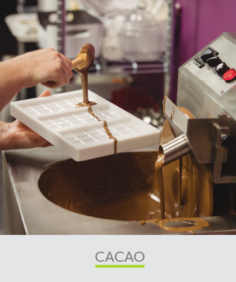 files/Disjobel_Website_OurCategories_Cacao.jpg