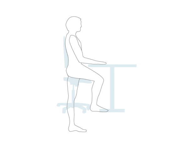 Your lordosis shape should be much the same whether you’re sitting or standing.