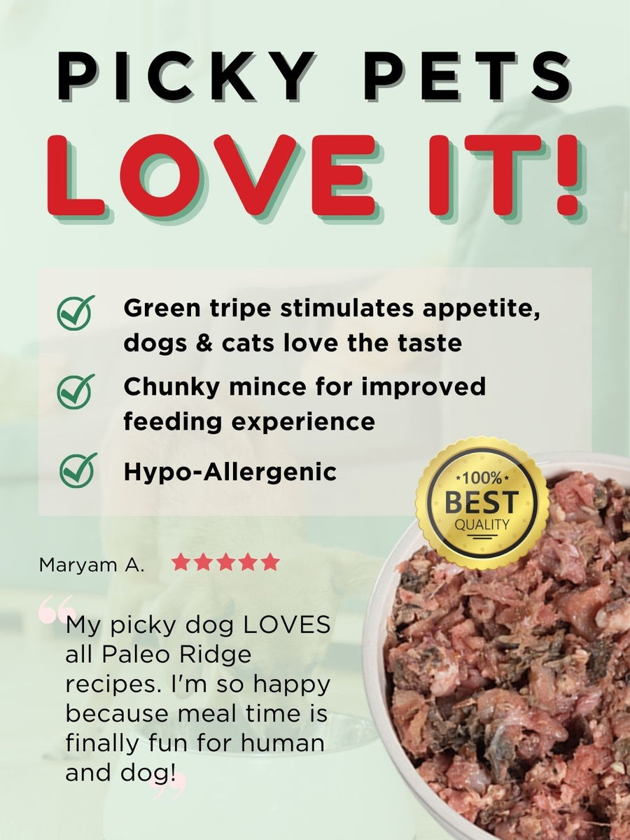 is tripe good for your dog