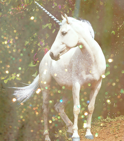 Unicorn Shampoo
