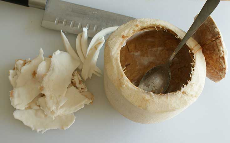 Coconut scooped out with coconut meat