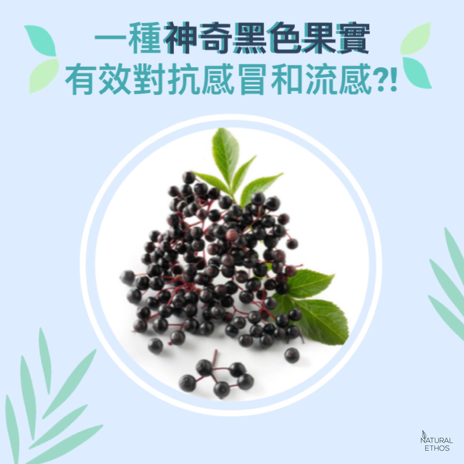 black elderberry sambucol health benefit hk