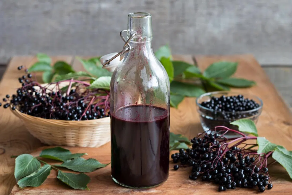 Black Elderberry drink healthy hk