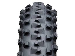 29x2 10 bike tire