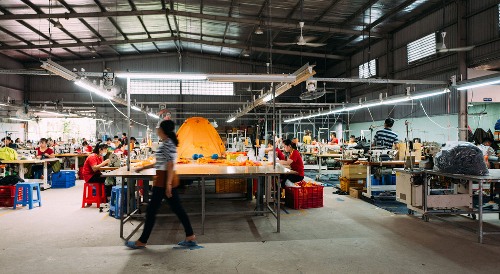 Fierce Hazel Factory in Vietnam