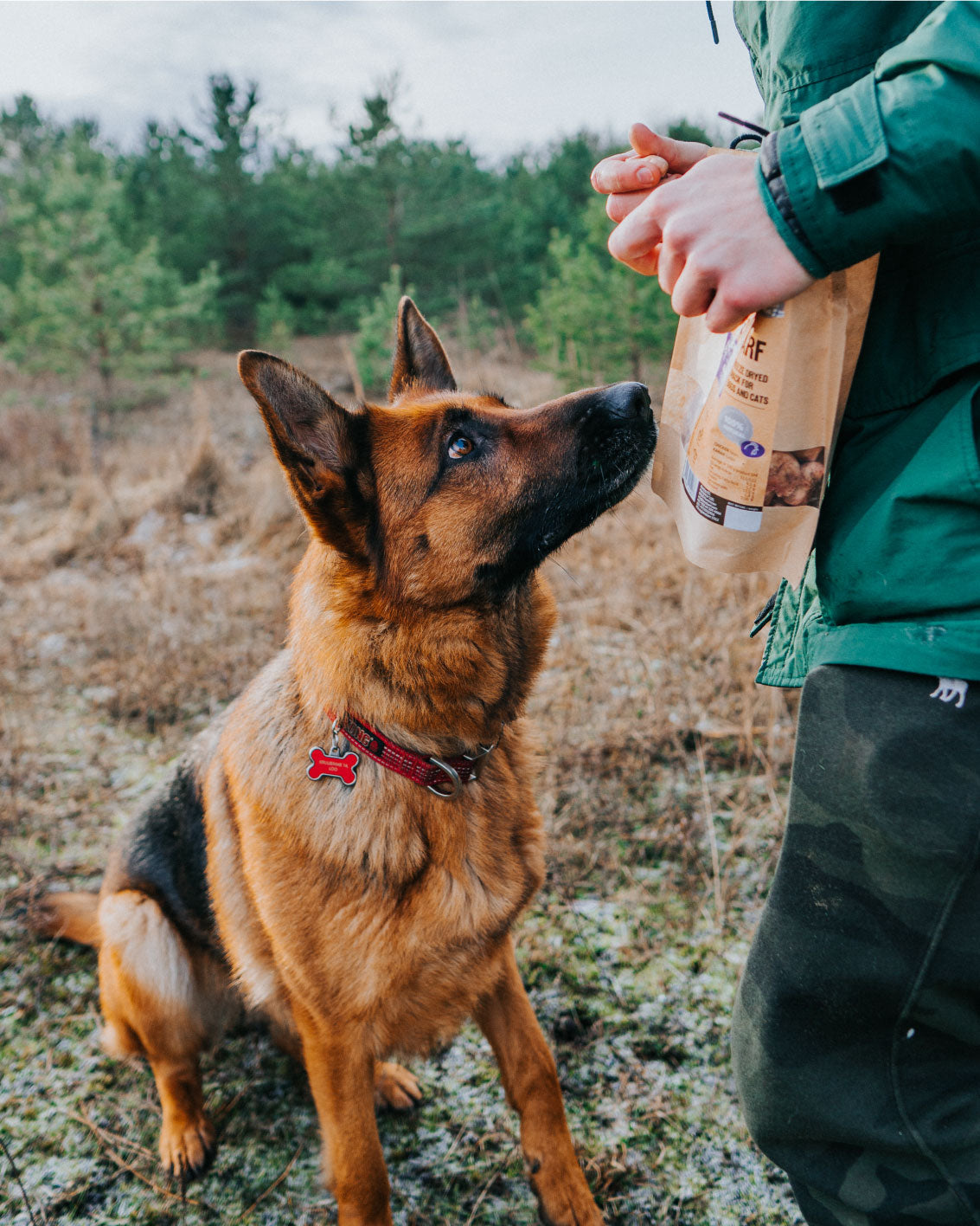 waiting for owner to give freeze dried snacks