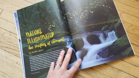 Firefly Photos in Smokies Life Magazine