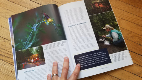 Firefly Photos in Smokies Life Magazine