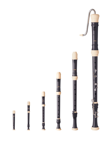 Recorder symphony ensemble