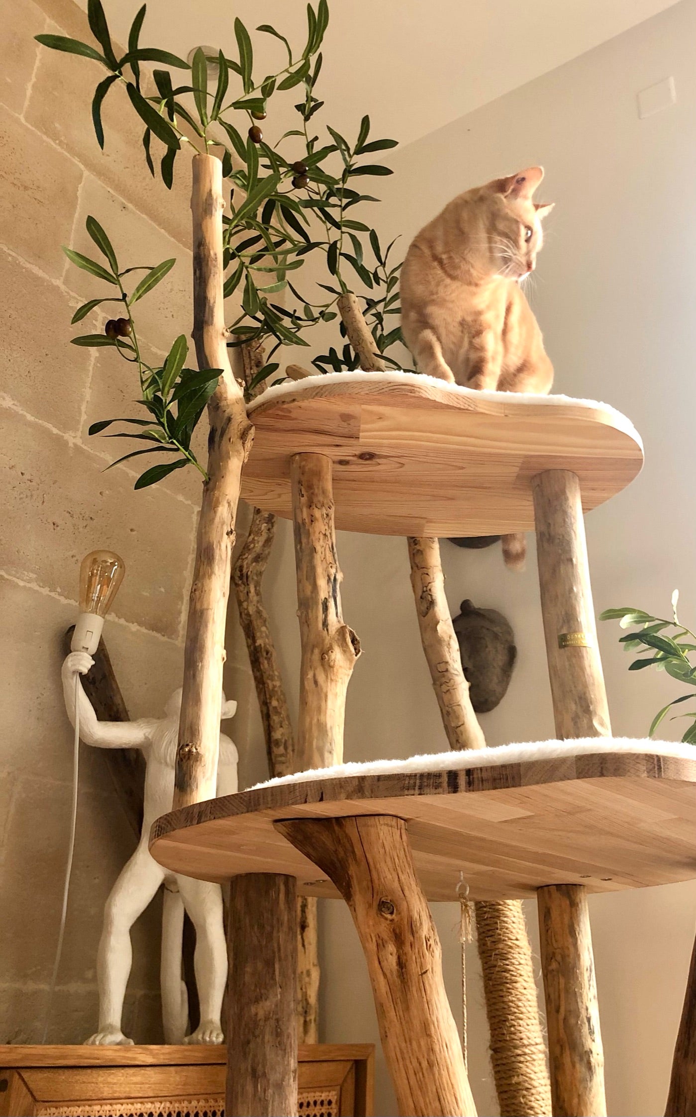 🌳 Arbre à chat en bois flotté 180 cm - Pièce artisanale Unique
– BABINE Concept-Store
