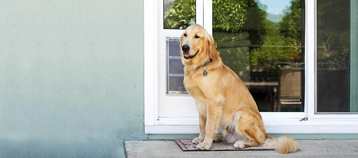 what size dog door do i need for a golden retriever