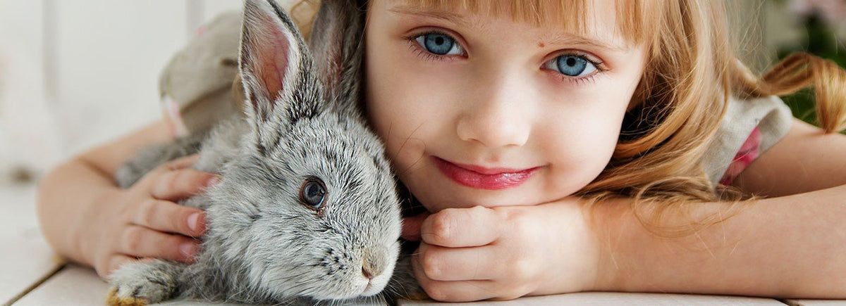 what-do-wild-baby-bunnies-eat-how-to-care-for-a-baby-wild-rabbit