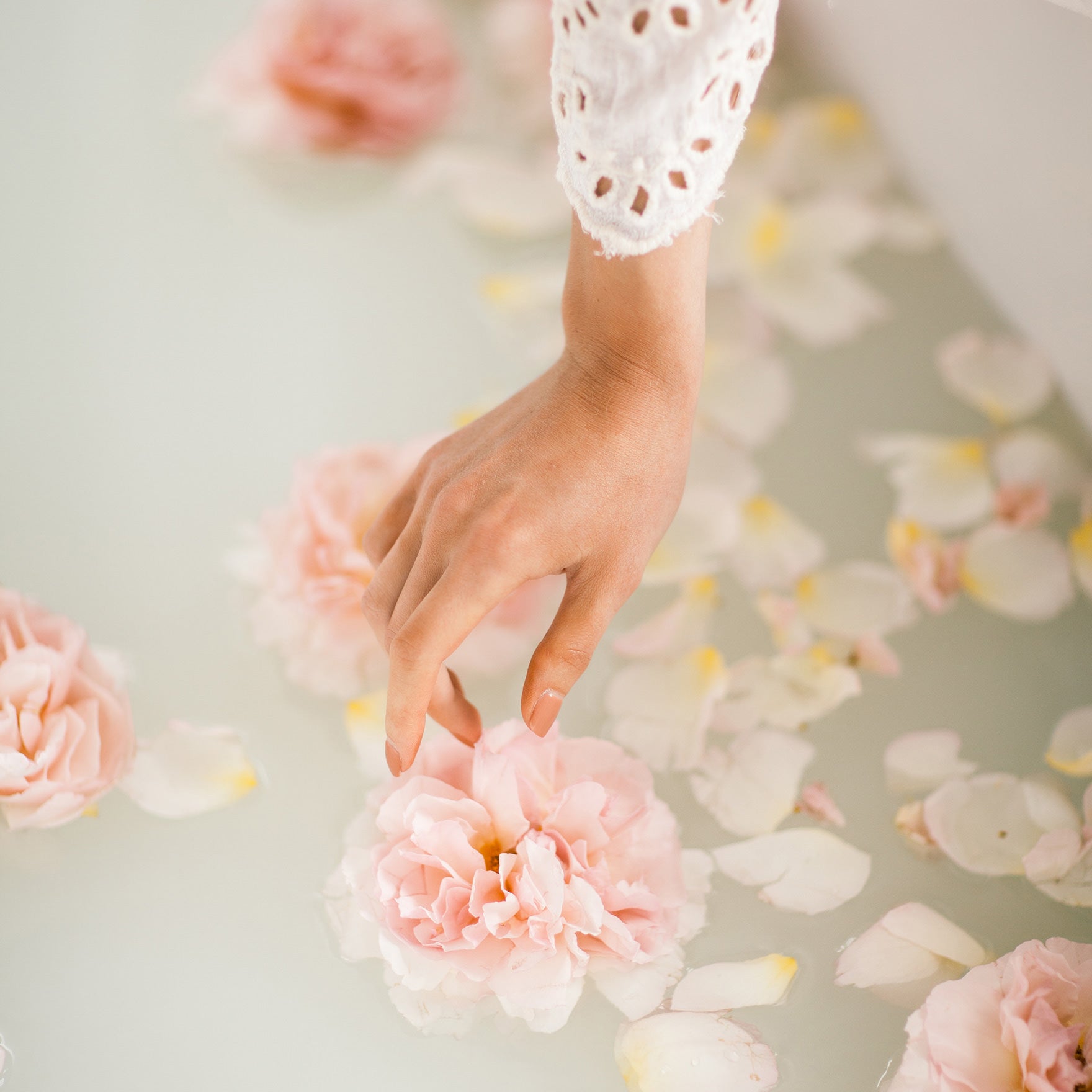 Image of a hand placing a flower in a bath that has flower petals floating in it. 