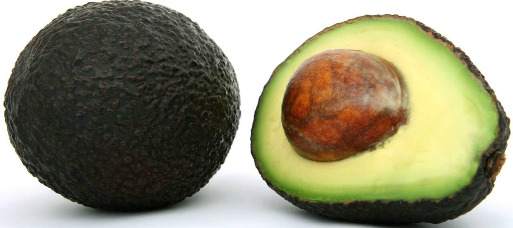 avocado 