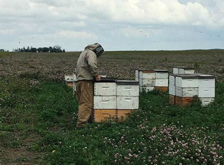 local beekeeper