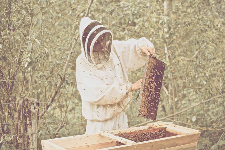 Beekeeping is important