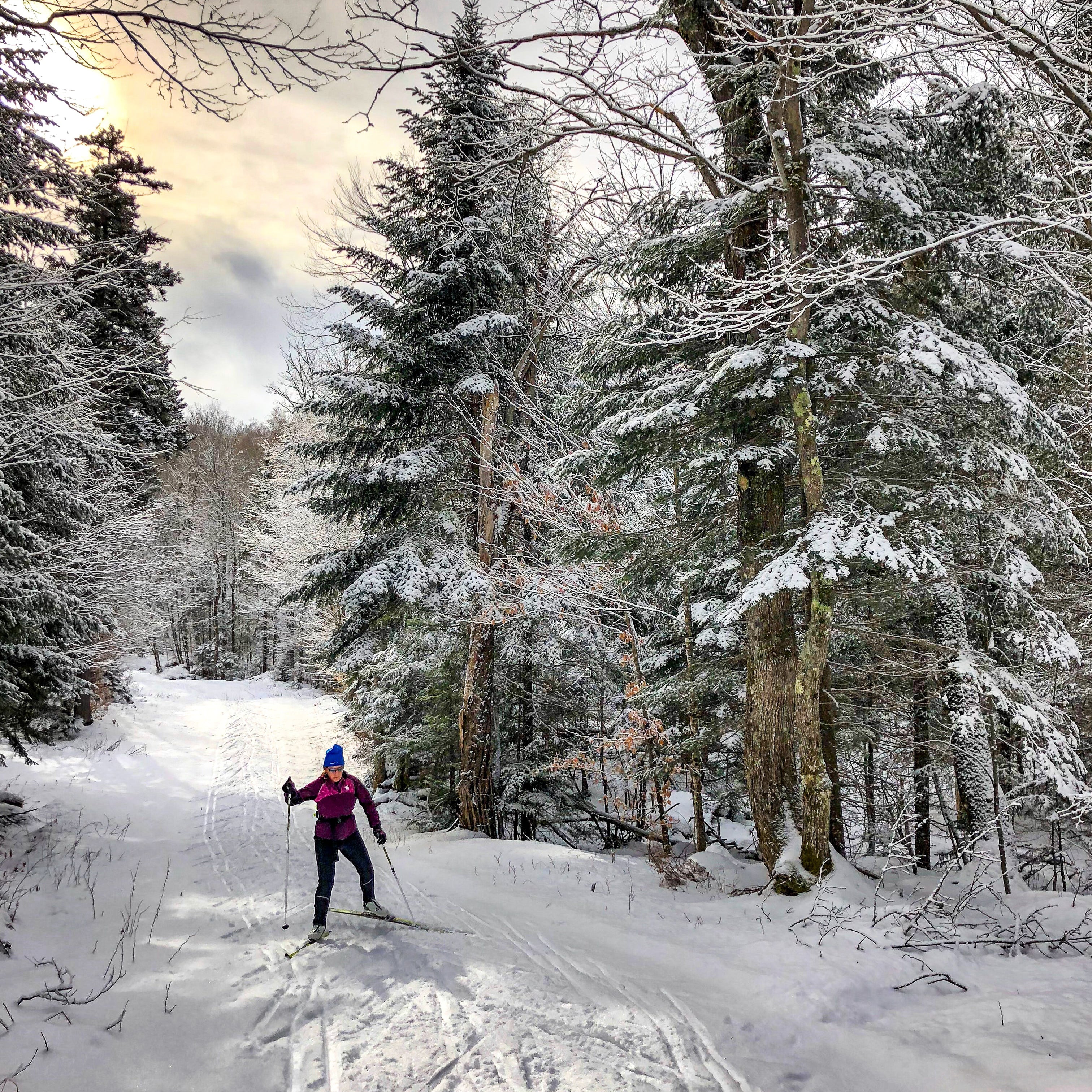 A woman cross country skiing through the trees, she can help soothe her sore muscles with Rocky Mountain Soap's sports therapy in a box. 