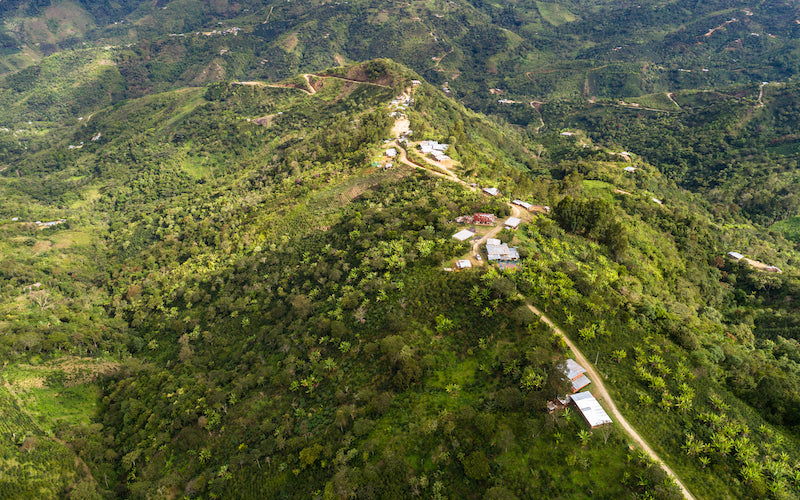 An aerial view showing homes in Pueblo Libre among lush green mountains