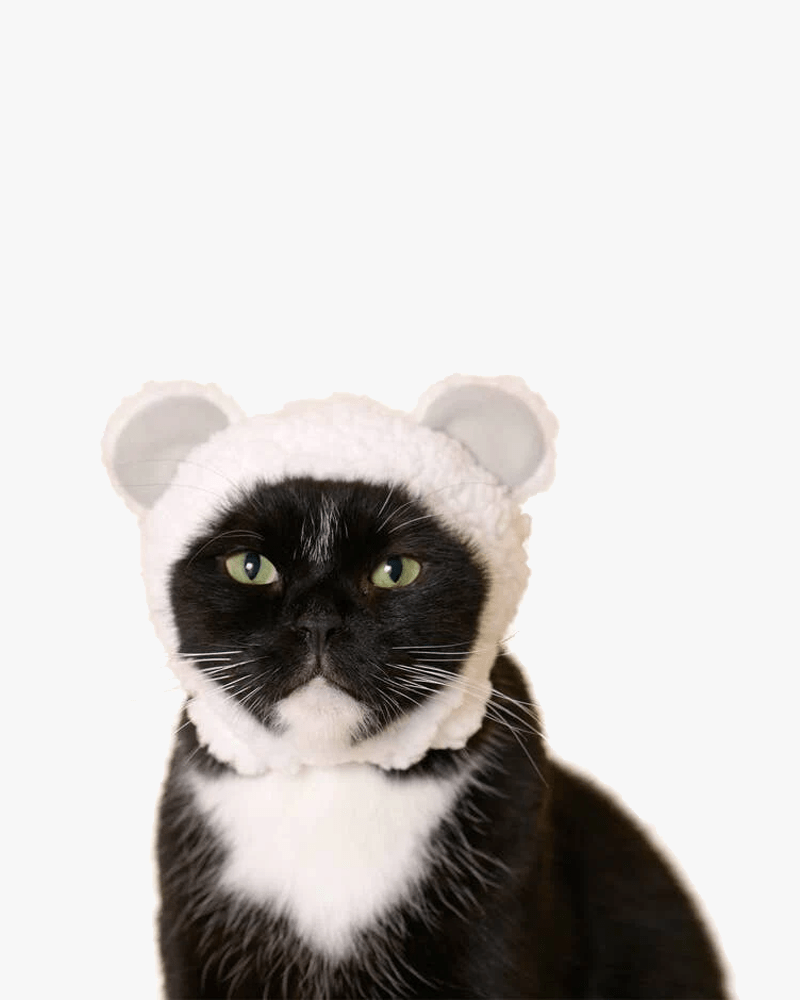 Kitan Club Bear Cat Cap | Shop Cute Kawaii Gifts in Canada & US – Sukoshi  Mart