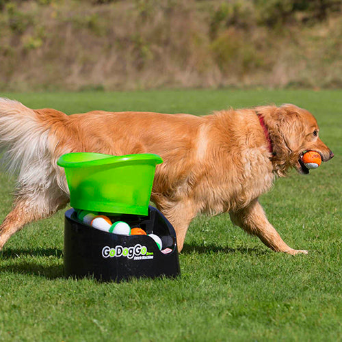 small dog fetch machine