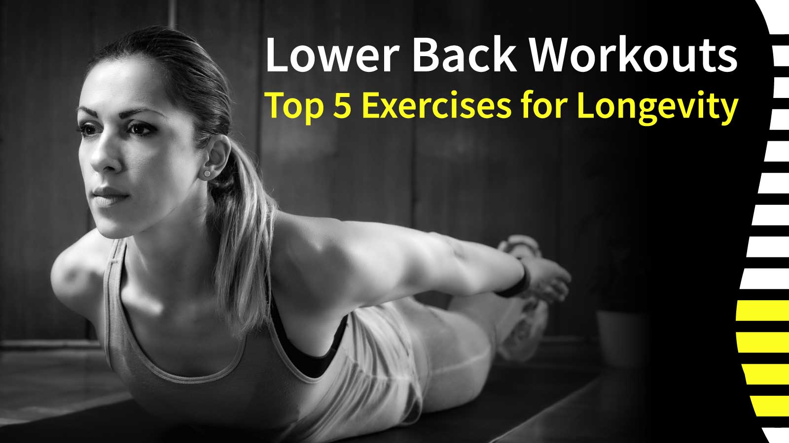 Back Workouts: Top Exercises Longevity