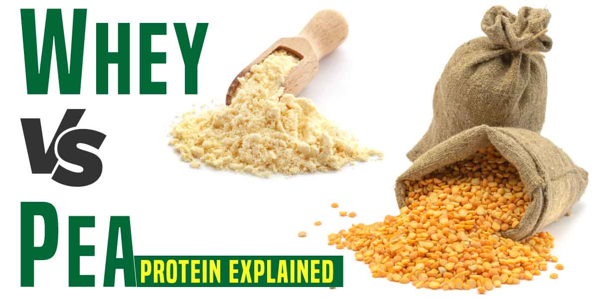 Pea Vs Whey Protein Nutrition Sourced The Right Way