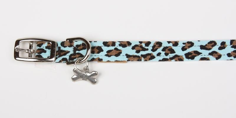 Susan Lanci Cheetah Couture Plain Collar In Tiffi Blue Open View