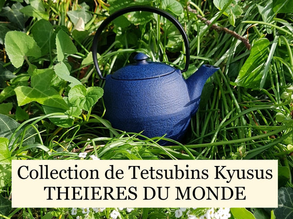tetsubin kyusu collection