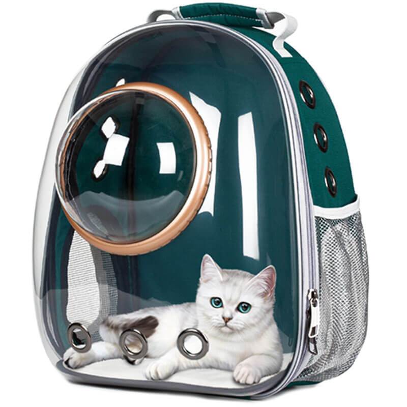 clear cat backpack