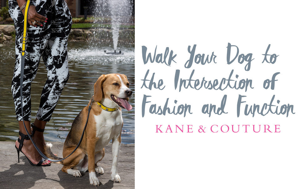 Kane & Couture Designer Dog Apparel and Accessories