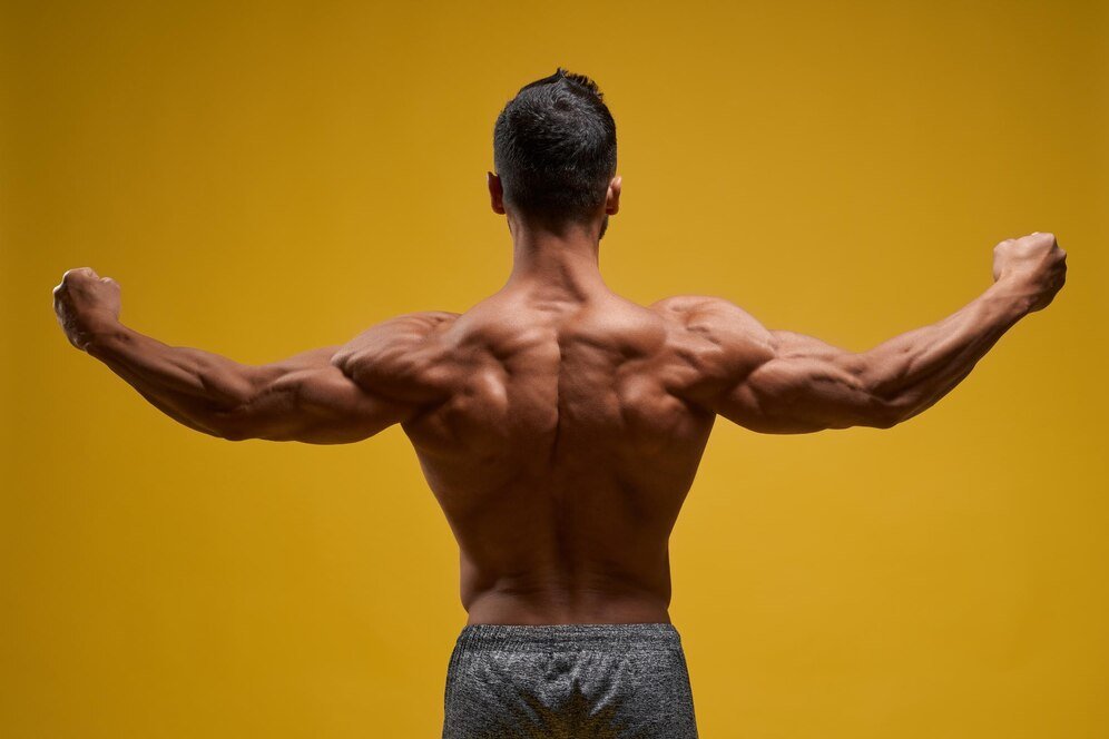 6-best-compound-back-exercises-for-a-strong-muscular-back